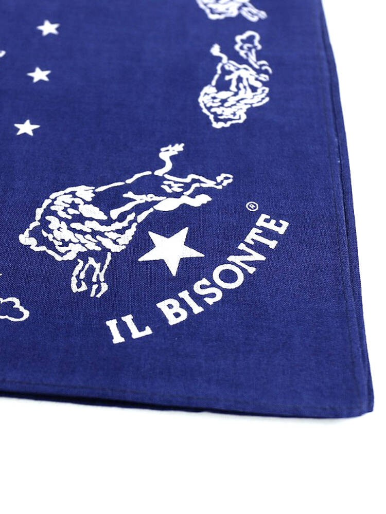 IL