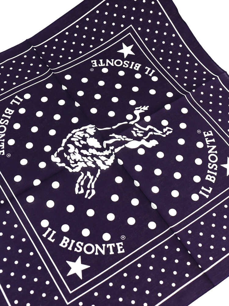 IL BISONTE(イルビゾンテ)・5442409298の詳細画像