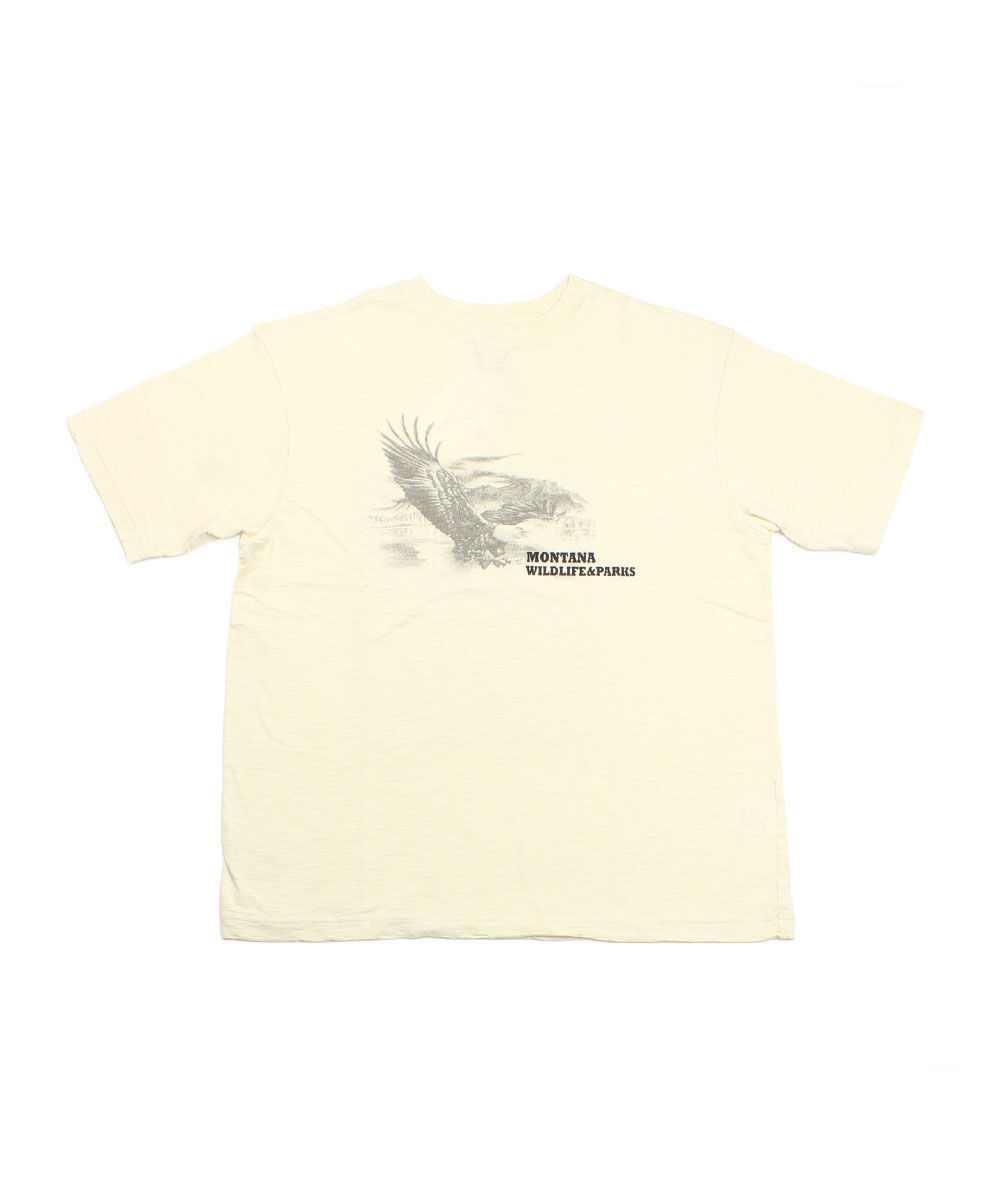 [ひーろ ] THE SHINZONE - EAGLE TEE THE SHINZONE ザ シンゾーン Tシャツ カットソー EAGLE TEE