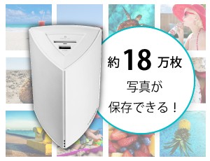 I-O DATA（アイ・オー・データ機器） NAS アイオーデータ HLS-PG1