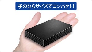 I-O DATA（アイ・オー・データ機器） ポータブルHDD アイオーデータ