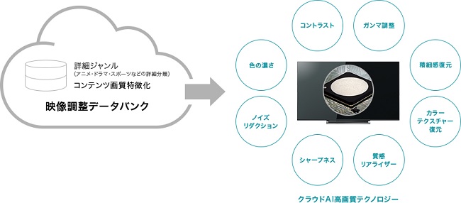 REGZA（レグザ） 52インチ〜60インチ未満 東芝 4K REGZA 55M540X [4K