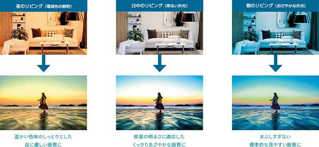 REGZA（レグザ） 52インチ〜60インチ未満 東芝 4K REGZA 55M540X [4K