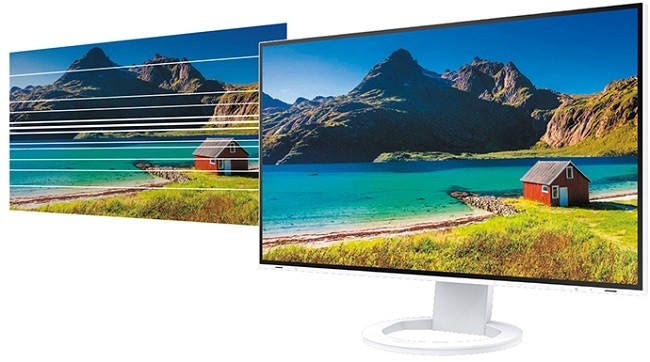 EIZO 液晶ディスプレイ ナナオ（EIZO） FlexScan EV2495-BK [24.1型