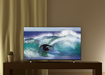 50C350X 4K 未使用 東芝 REGZA 50インチ 液晶テレビ レグザ REGZA 46インチ〜52インチ未満 東芝 4K 50C350X [50V型4K・地上