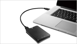 I-O DATA（アイ・オー・データ機器） ポータブルSSD アイオーデータ