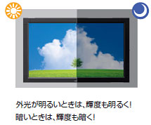 NEC 業務用液晶モニター NEC MultiSync（マルチシンク） LCD-E498 [49