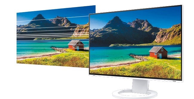 EIZO 液晶ディスプレイ ナナオ（EIZO） FlexScan EV2485-BK [液晶