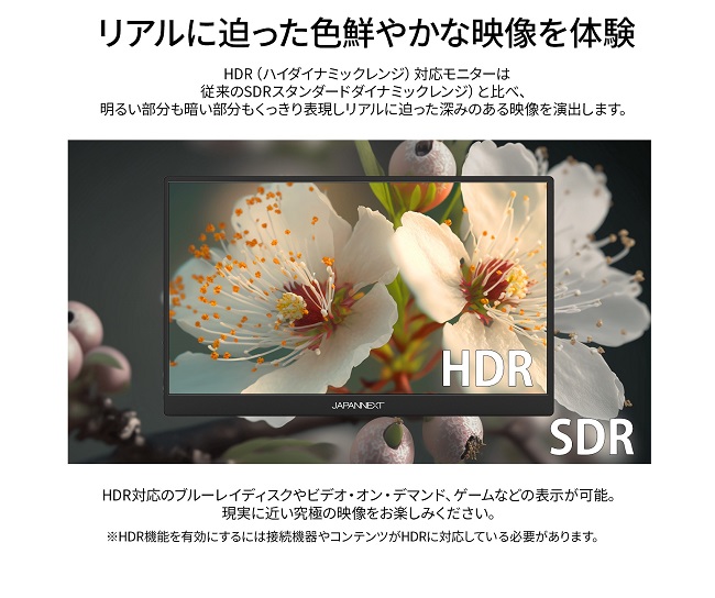 JAPANNEXT（ジャパンネクスト） 液晶ディスプレイ JAPANNEXT JN-MD