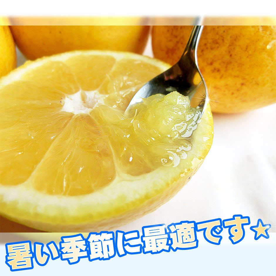 暑い季節に最適