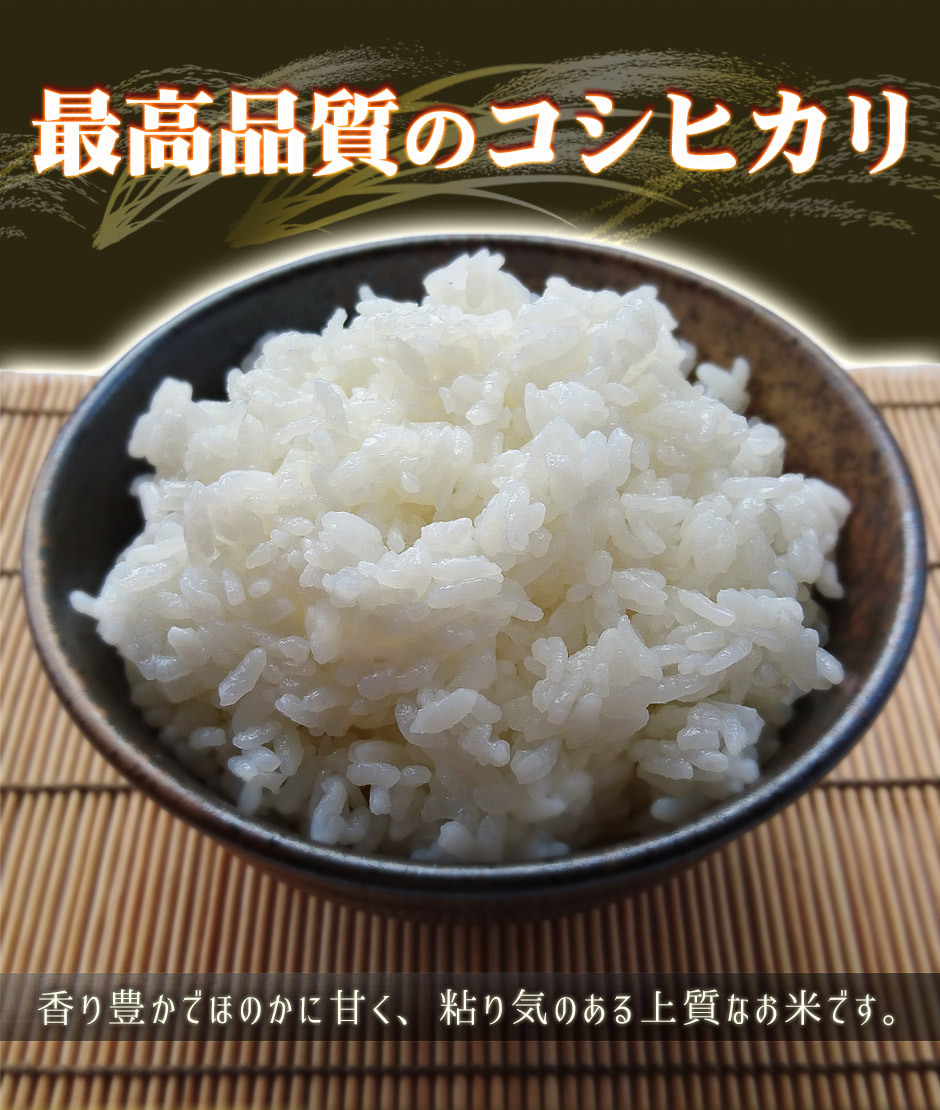 愛媛みかんの こだわり王国 - 三間米 みままい|Yahoo!ショッピング 愛媛みかんの こだわり王国 - 三間米 みままい|Yahoo!ショッピング