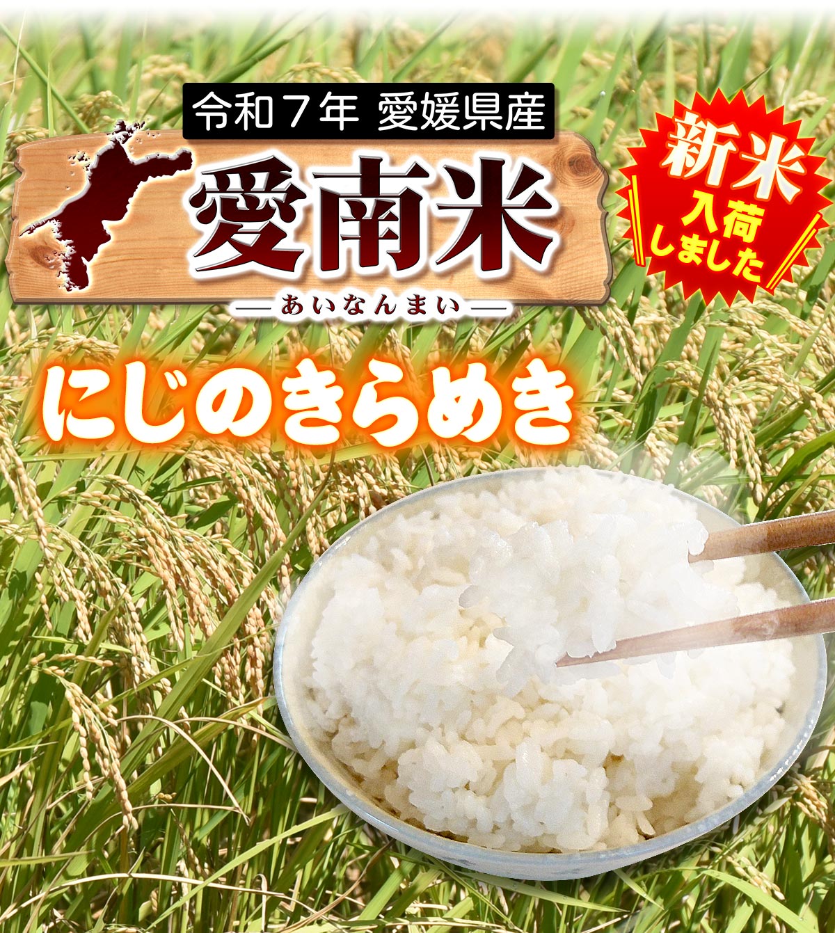 令和7年産 新米】 愛媛県 愛南町産 にじのきらめき 玄米30kg