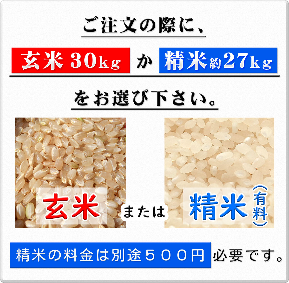 令和7年産 新米】 愛媛県 愛南町産 にじのきらめき 玄米30kg
