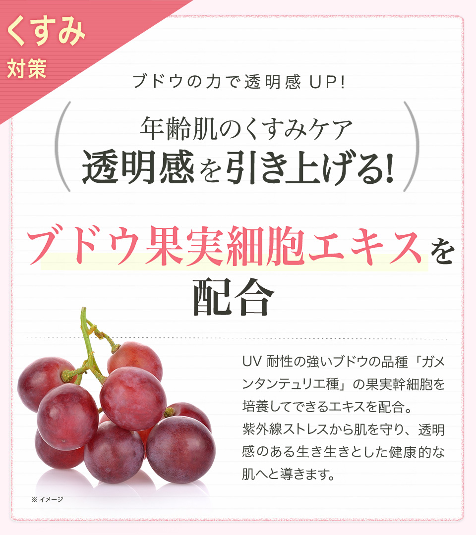 4個‼️最安値‼️新品未開封‼️ユーグレナone オールインワンクリームST❤️40g one オールインワンクリームST｜ユーグレナ・オンラインショップ