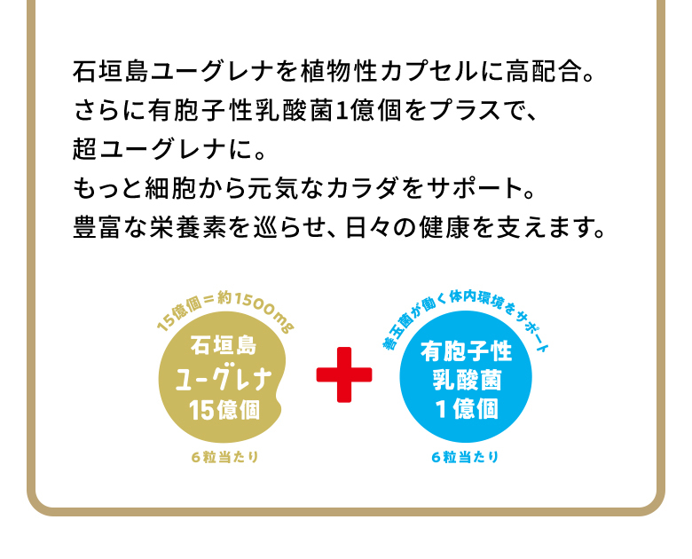 からだにユーグレナプラス Green Capsule 180粒 ミドリムシ サプリメント サプリ 青汁 緑汁 健康食品 栄養 男性 女性 グリーンカプセル ユーグレナ オンライン ヤフー店 通販 Paypayモール