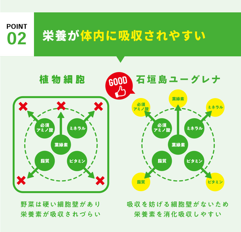 公式】 からだにユーグレナ Green Powder スティック 30本入 2箱セット