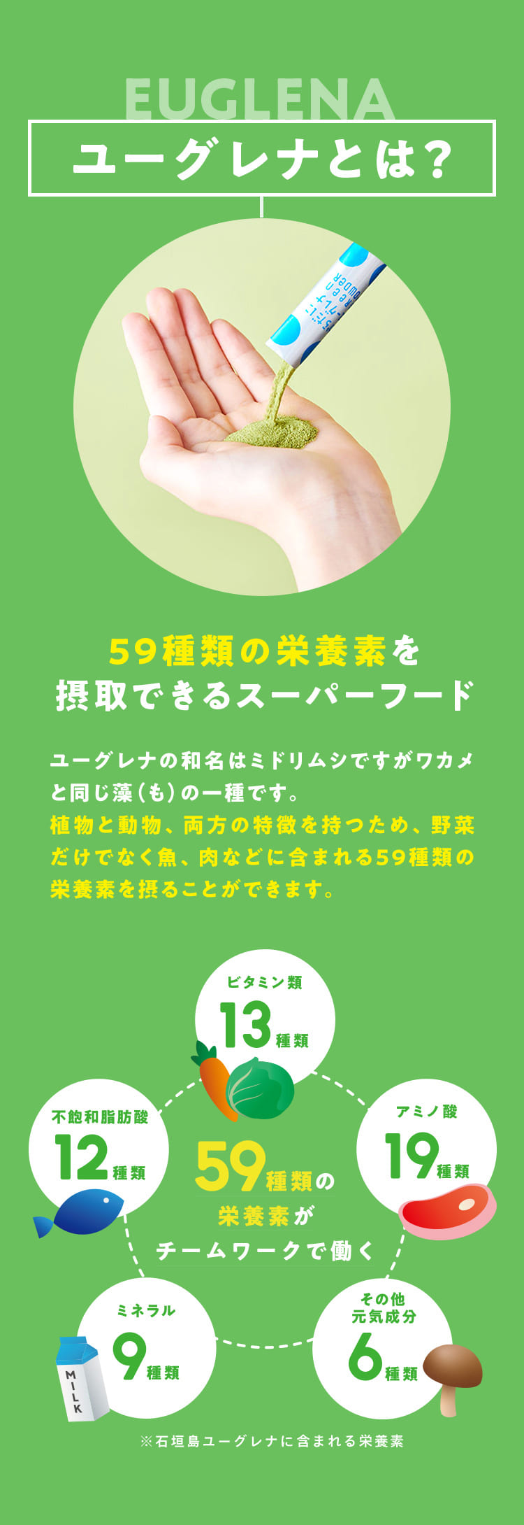 公式】 からだにユーグレナ Green Powder 乳酸菌 スティック 30本入 2