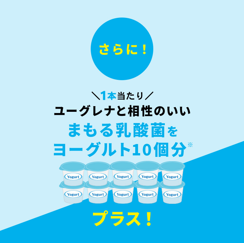 からだにユーグレナ Green Smoothie 乳酸菌入り 30本 195g ユーグレナ スムージー ミドリムシ サプリメント サプリ 青汁  グリーンスムージー乳酸菌 :ML21910100:ユーグレナ・オンライン ヤフー店 - 通販 - Yahoo!ショッピング