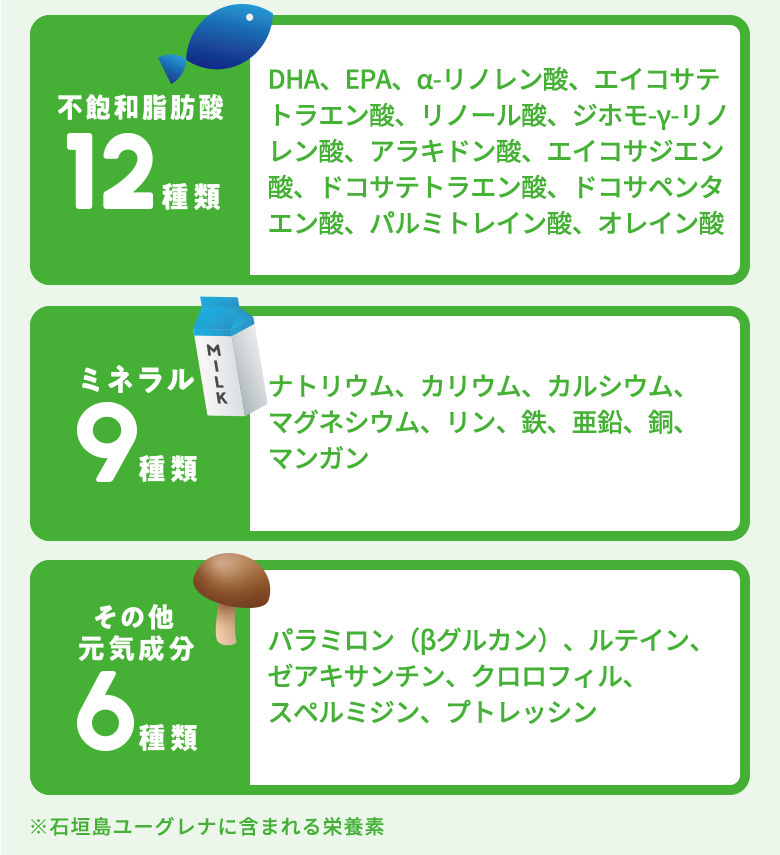 公式】 【4袋セット+1袋おまけ】からだにユーグレナ Green Tablet 粒