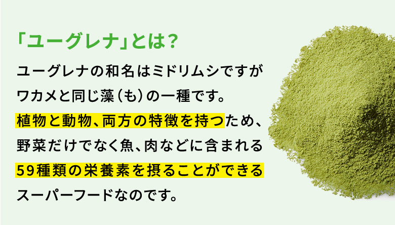 お試し からだにユーグレナ Green Tablet 乳酸菌 粒タイプ 1week グリーンタブレット乳酸菌 卸売り ビタミン ミドリムシ サプリメント 緑汁 ユーグレナ