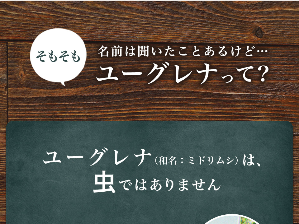 得価高評価 ユーグレナ・プラス 健康食品 男性 女性 ユーグレナ・オンライン ヤフー店 - 通販 - PayPayモール 93粒 6個セット アウトレット ミドリムシ サプリ サプリメント パラミロン ダイエット お買い得新品