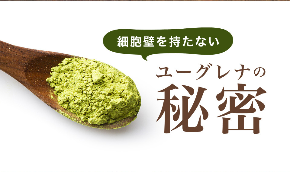 得価高評価 ユーグレナ・プラス 健康食品 男性 女性 ユーグレナ・オンライン ヤフー店 - 通販 - PayPayモール 93粒 6個セット アウトレット ミドリムシ サプリ サプリメント パラミロン ダイエット お買い得新品