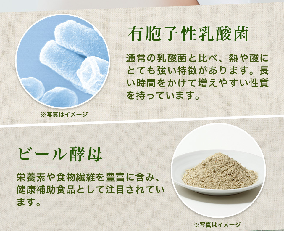 得価高評価 ユーグレナ・プラス 健康食品 男性 女性 ユーグレナ・オンライン ヤフー店 - 通販 - PayPayモール 93粒 6個セット アウトレット ミドリムシ サプリ サプリメント パラミロン ダイエット お買い得新品