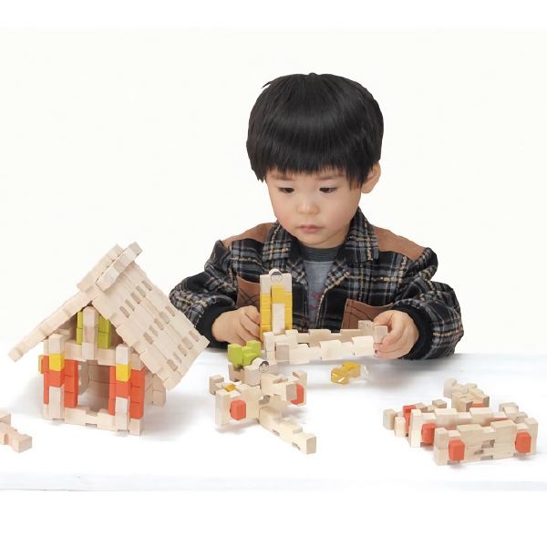 エド・インター（Ed・Inter） Ed.inter ユークリッドブロック 600pcs