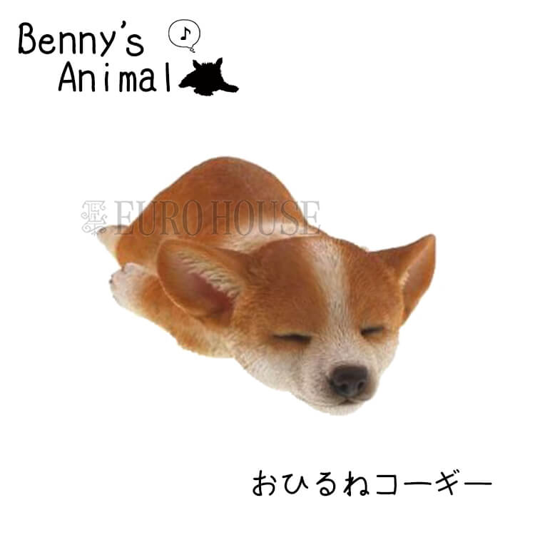 ben-hirune-a05.jpg