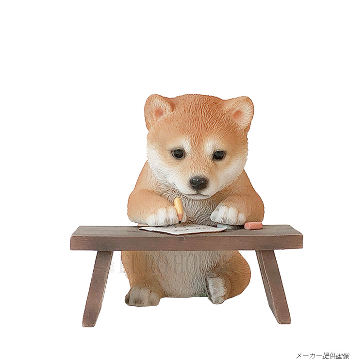 オーナメント 豆柴 お勉強 子犬 インテリア 犬 置物 ガーデン