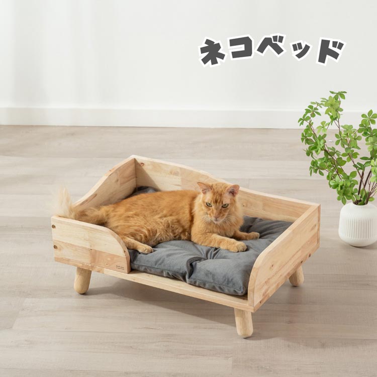 nov-pet-e07.jpg