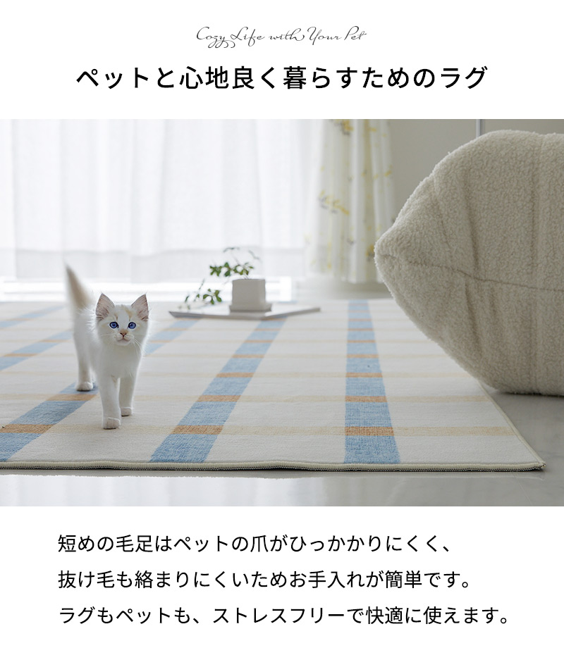 グラムスタイル MONOA+ ラグ カーペット whim ウィム 190×190cm