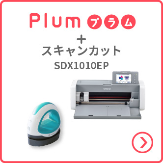 SDX1010EP