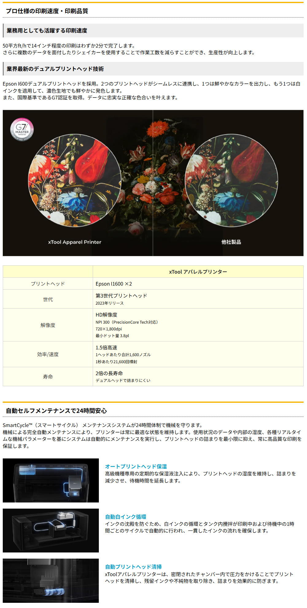 特長