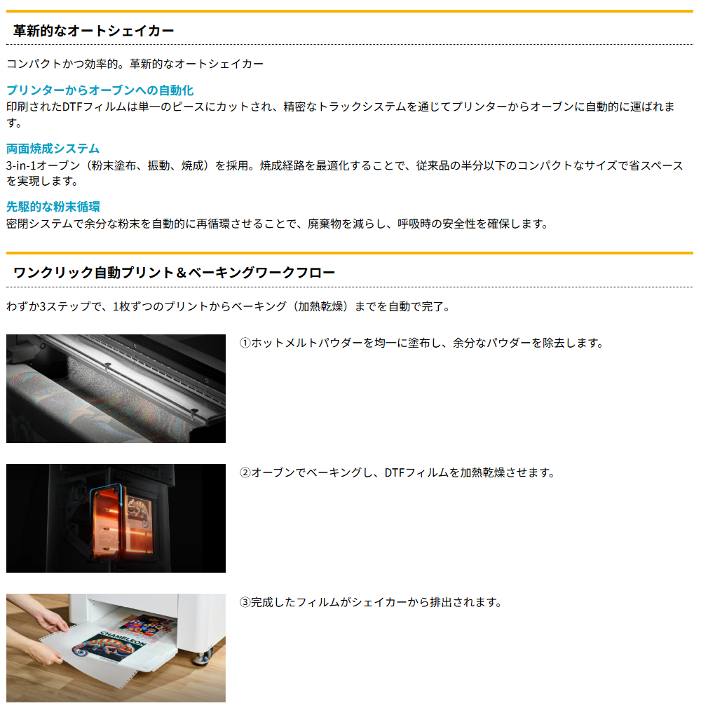 特長