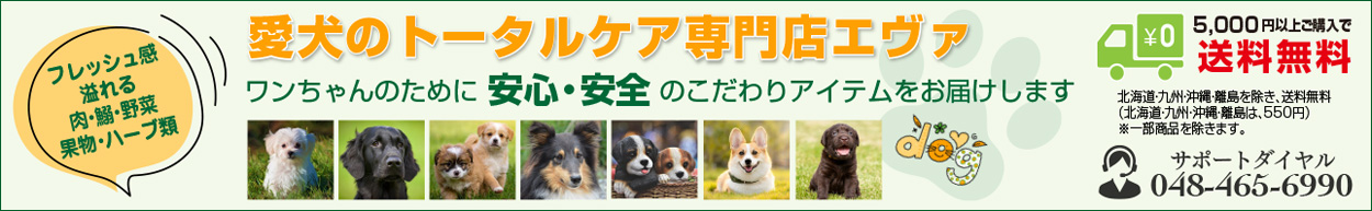 愛犬のトータルケア専門店エヴァ ヘッダー画像