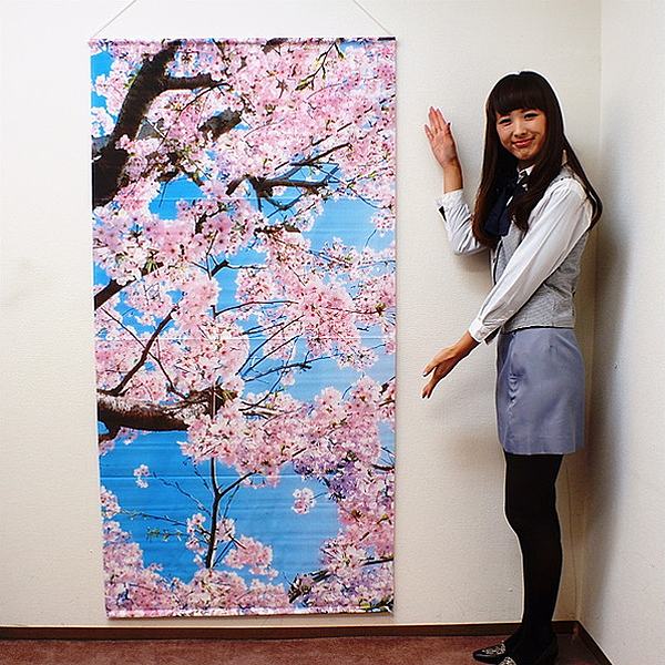 桜満開タペストリー 桜タペストリー 桜枝満開 防炎加工 L180cm / 桜 装飾 幕 プリント 背景
