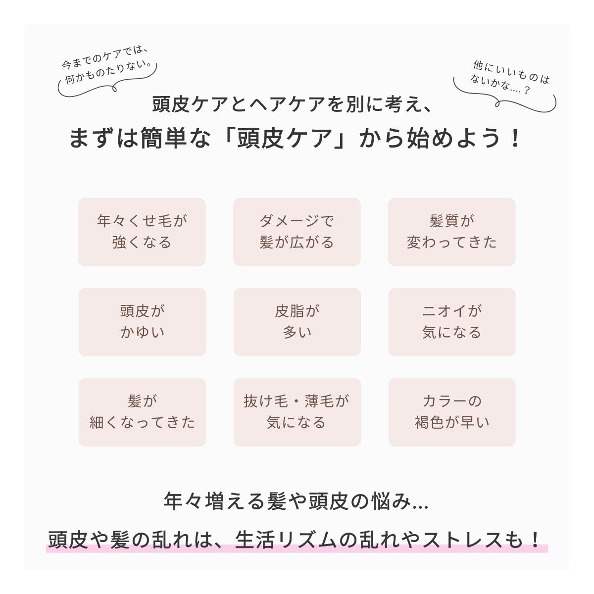 THE HERBS fillis シャンプー ラヴェ 正規販売店 芦屋 天然ハーブ