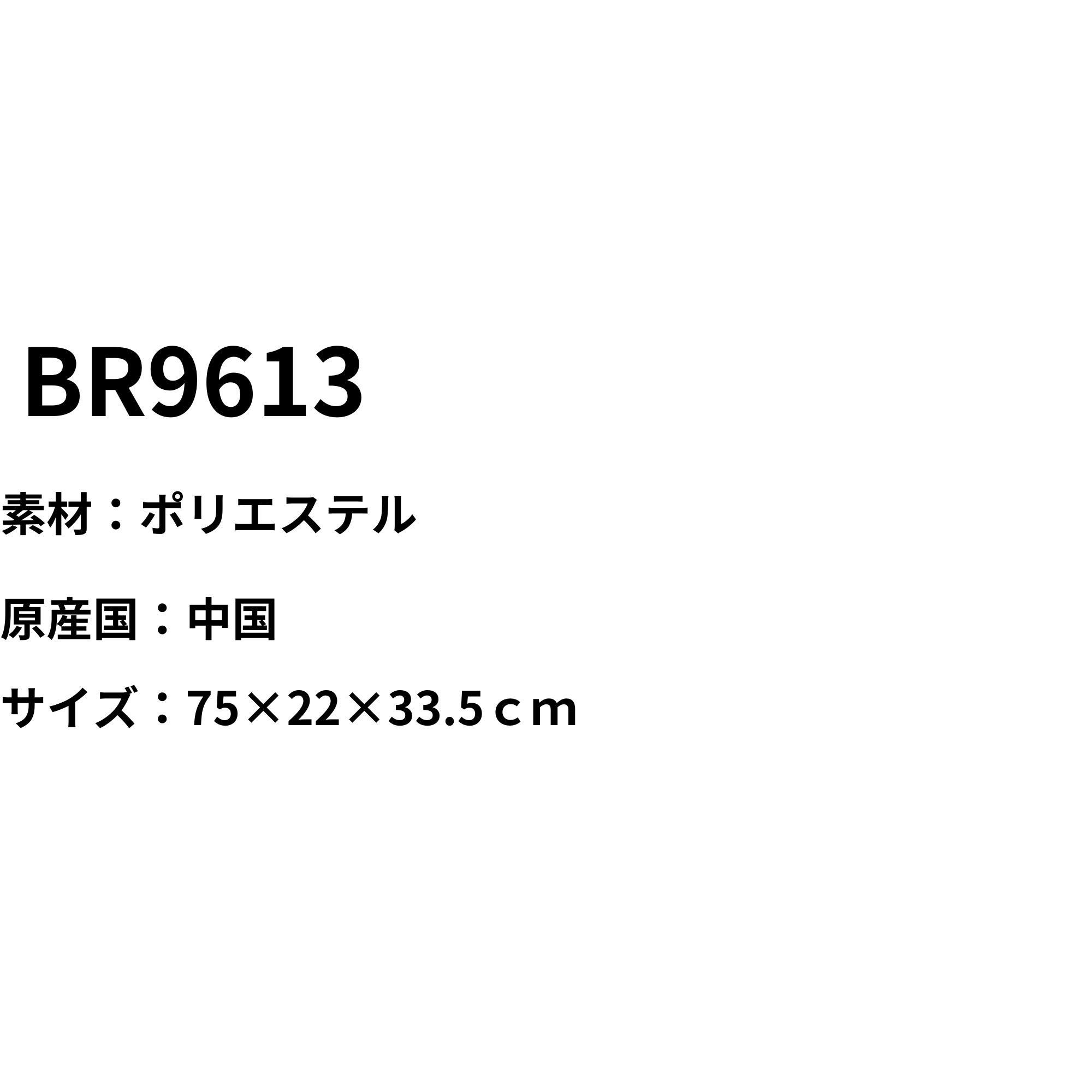 【LINE追加で5%OFFクーポン配布中】ビクター VICTOR バッグ トーナメントバッグ BR9613 バドミントン |  | 01