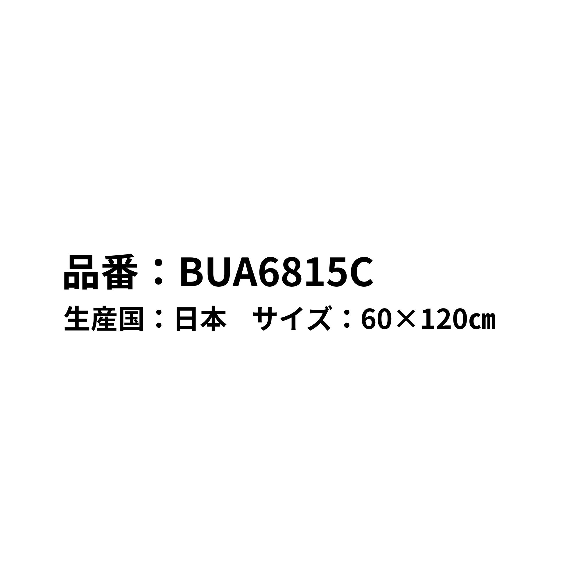 【在庫限り30%OFF】【最短出荷】バボラ B...の詳細画像1