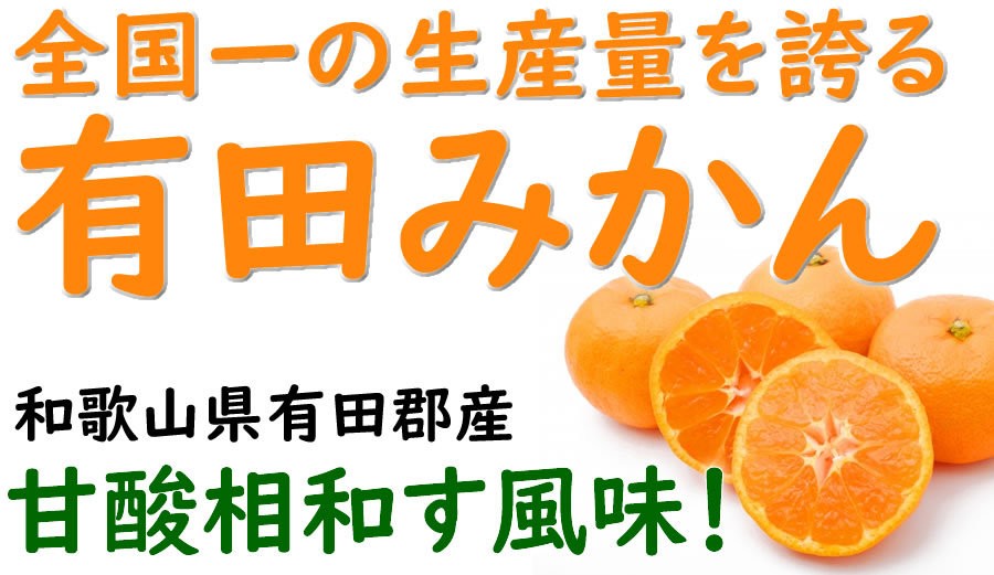 販売期間 限定のお得なタイムセール 紀州有田みかん 秀品 約10kg Мサイズ fucoa.cl