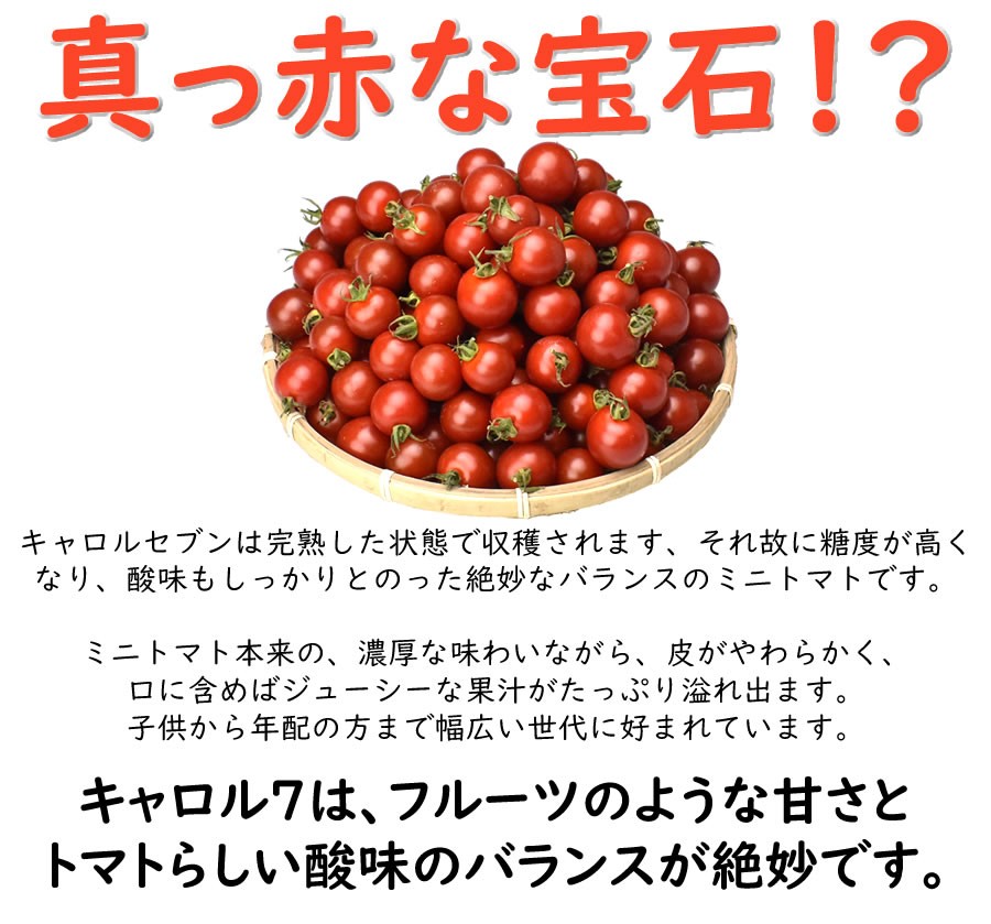 房付きキャロルセブン 2キロ入 和歌山県田辺市産 送料無料 常温便 こだわり弁慶クラブ 枝付きミニトマト 枝付きプチトマト 2kg箱入り Carolseven Fusa 和歌山てんこもり 通販 Yahoo ショッピング