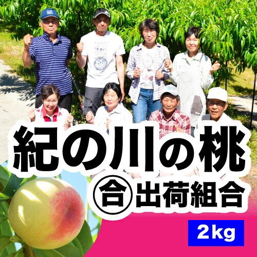 和歌山てんこもりの「農家直送！「和歌山の桃」の購入で使える！クーポン！」のクーポン