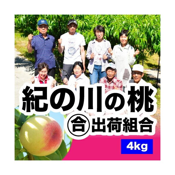和歌山てんこもりの「農家直送！「和歌山の桃」の購入で使える！クーポン！」のクーポン