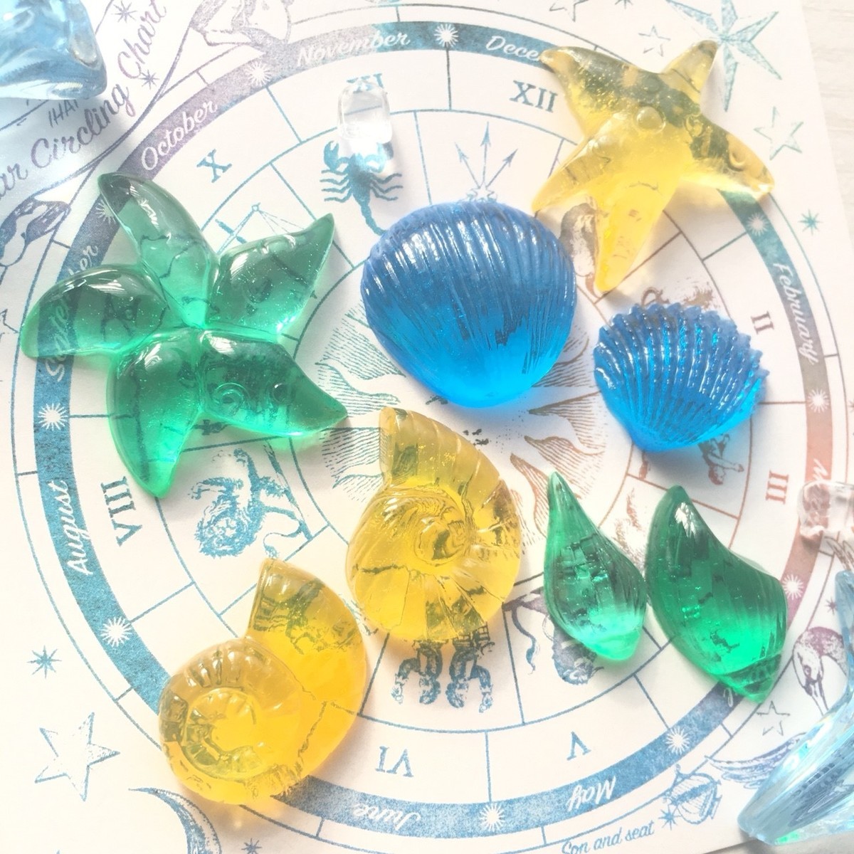 海 の仲間たち レジン イルカ 貝 カニ ヒトデ 魚 シリコン
