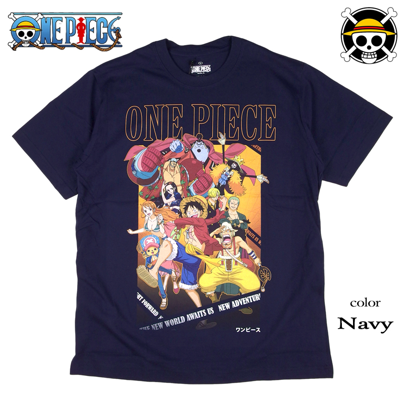 ナミ ＆ゾロ ２点おまとめ 人気 ケース付き ONEPIECEワンピース ナミ ＆ゾロ 2点おまとめ 人気 ケース付き ONEPIECEワンピース