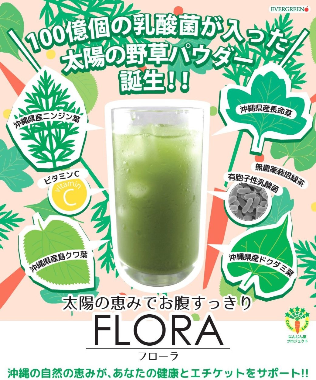 乳酸菌100億個、野草パウダー フローラ
