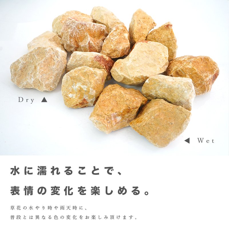 ex-ceracore_org0515gr-yw100_5.jpg