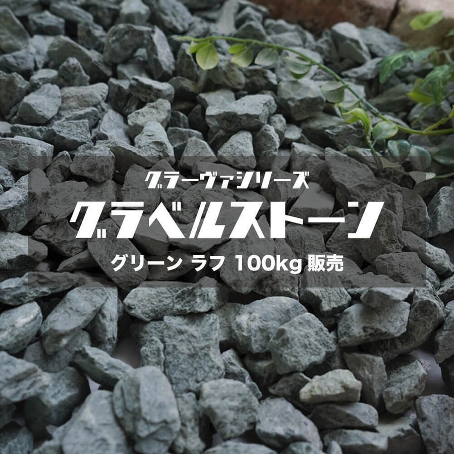 ex-ceracore_org1525gs-gr100.jpg