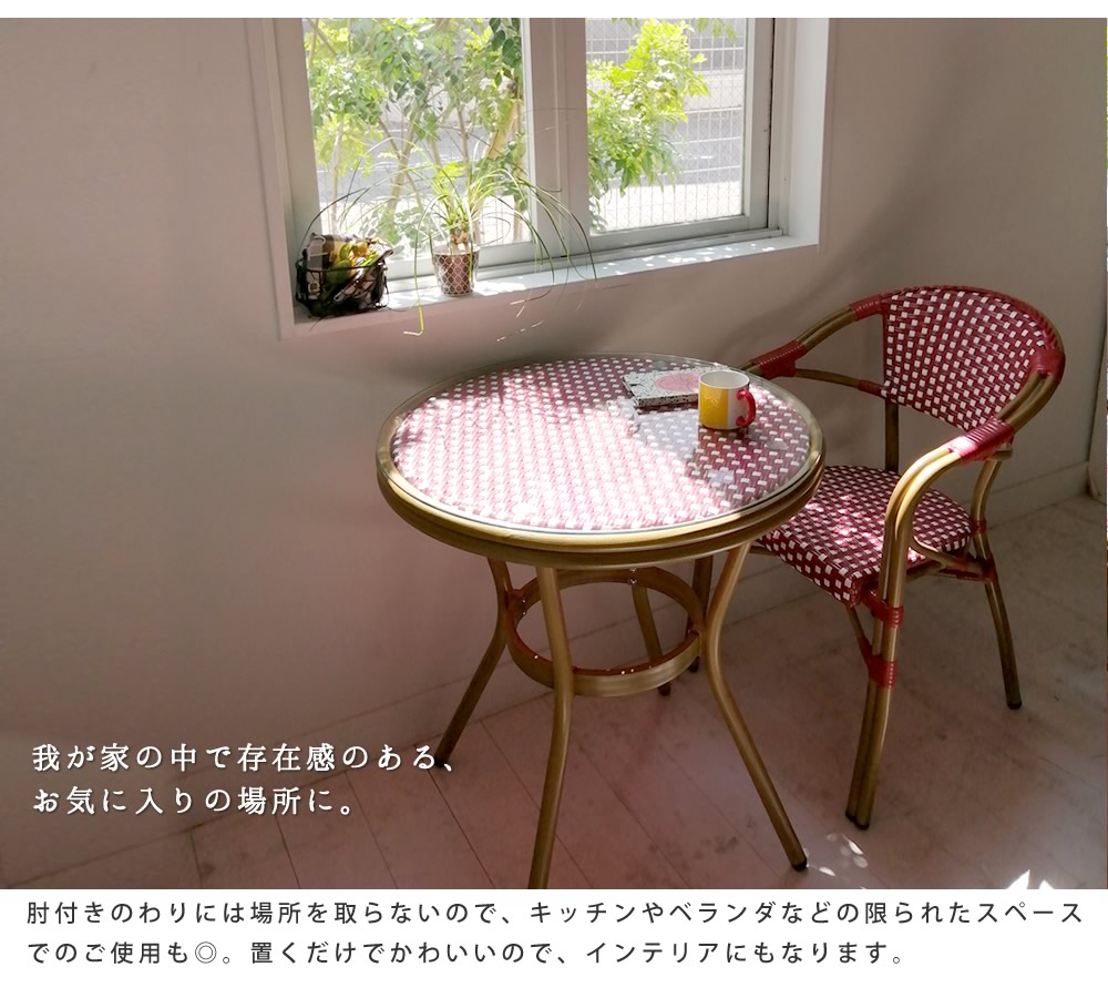 爆買 【代引き不可】【チェア2脚セット「プレジール」】 簡単組立 PE 